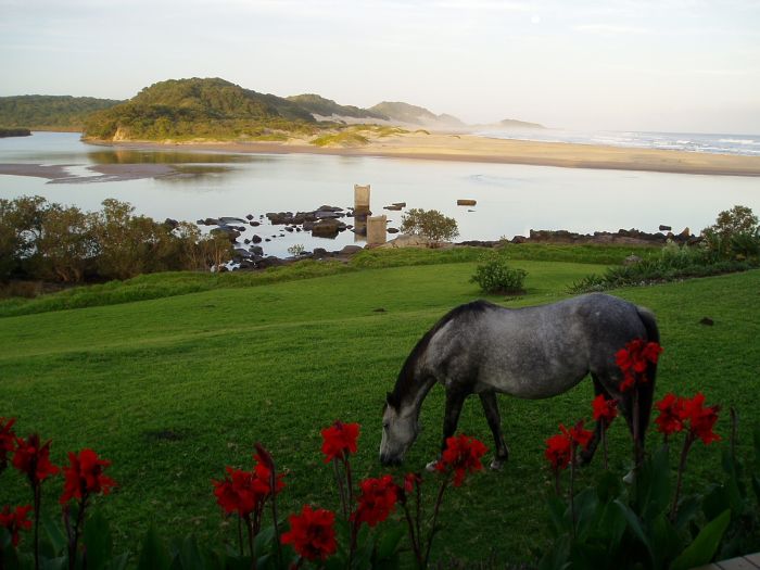 Reiturlaub an der Wilden Küste