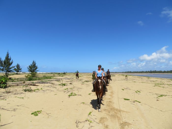 Madagaskar - den sechsten Kontinent zu Pferd entdecken