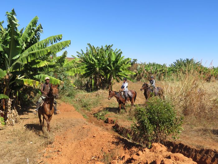 Madagaskar - den sechsten Kontinent zu Pferd entdecken