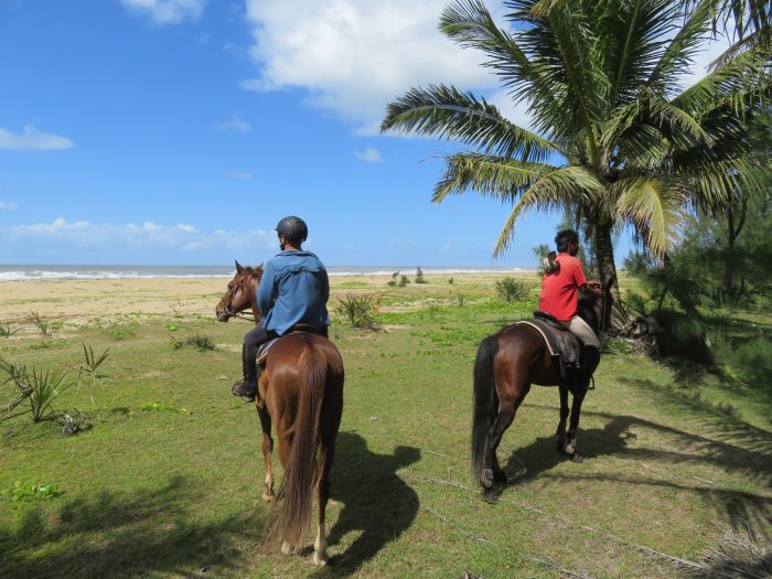 Madagaskar - den sechsten Kontinent zu Pferd entdecken