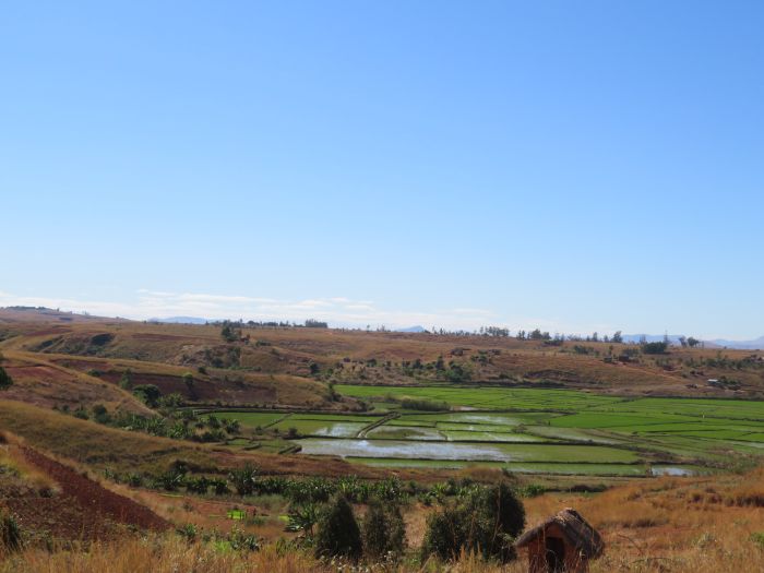 Madagaskar - den sechsten Kontinent zu Pferd entdecken