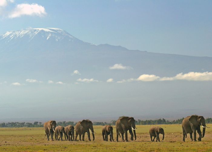 Kenia Safari Lodge - Abenteuer im Sattel