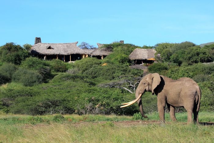 Kenia Safari Lodge - Abenteuer im Sattel