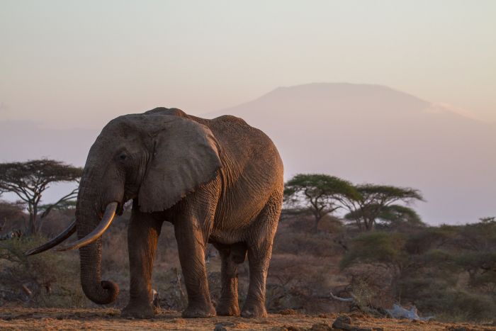 Kenia Safari Lodge - Abenteuer im Sattel