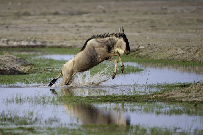 Kenia Safari Lodge - Abenteuer im Sattel