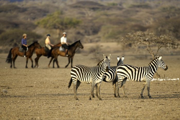 Kenia Safari Lodge - Abenteuer im Sattel