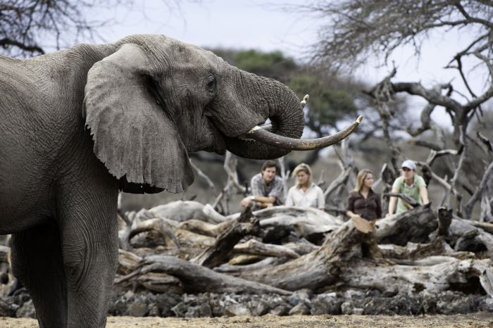 Kenia Safari Lodge - Abenteuer im Sattel