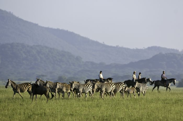 Kenia Safari Lodge - Abenteuer im Sattel