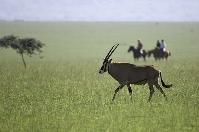 Kenia Safari Lodge - Abenteuer im Sattel