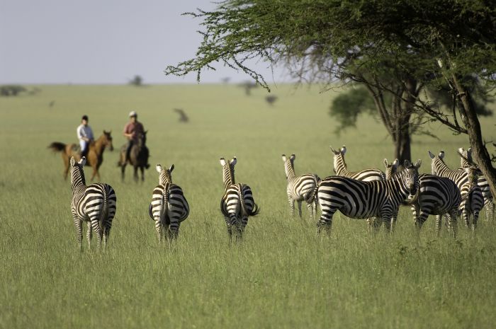 Kenia Safari Lodge - Abenteuer im Sattel