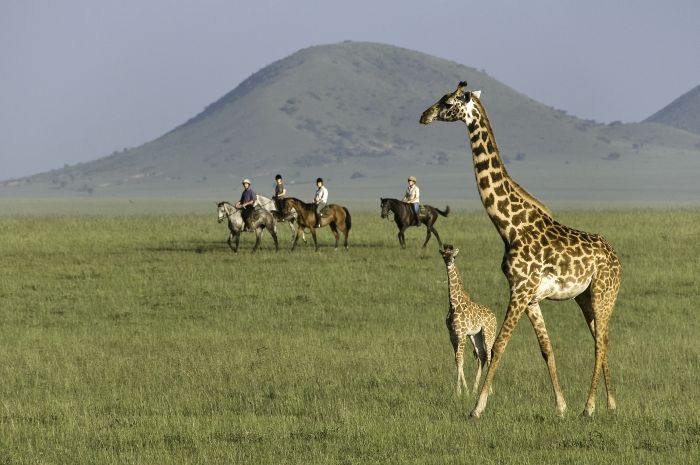 Kenia Safari Lodge - Abenteuer im Sattel