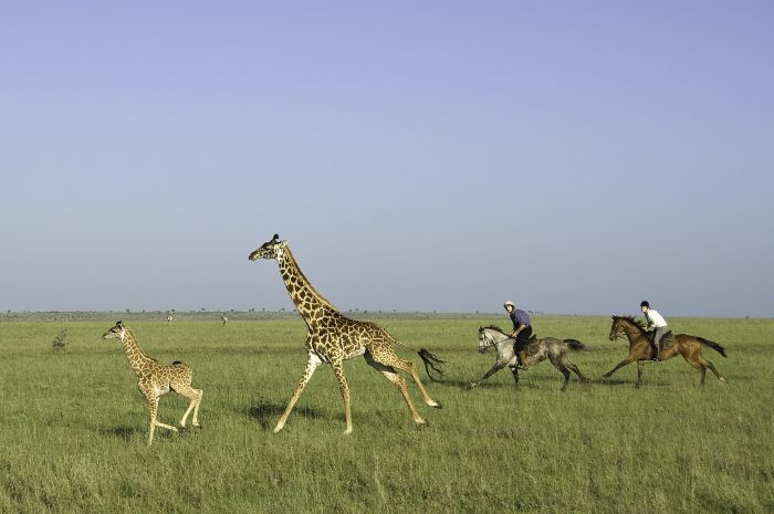 Kenia Safari Lodge - Abenteuer im Sattel