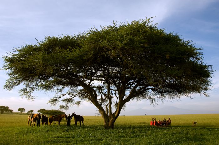 Kenia Safari Lodge - Abenteuer im Sattel