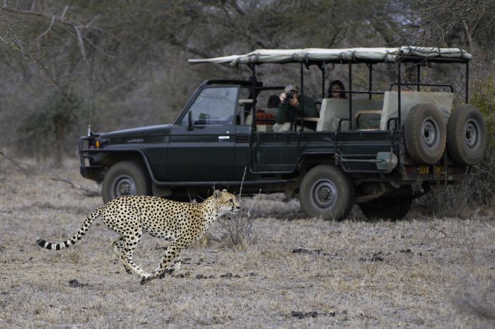 Kenia Safari Lodge - Abenteuer im Sattel