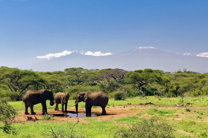 Kenia Safari Lodge - Abenteuer im Sattel