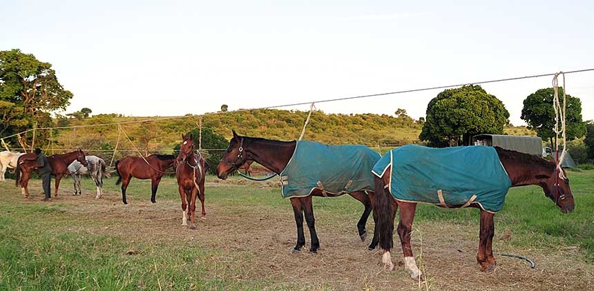 Laikipia Safari-Ritt