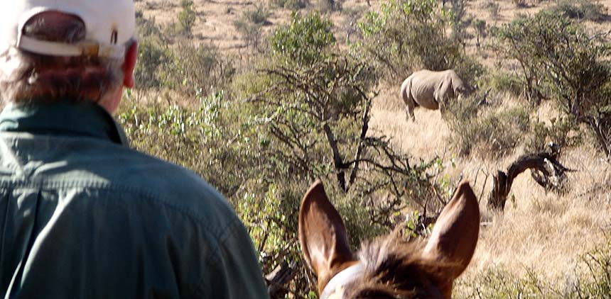 Laikipia Safari-Ritt