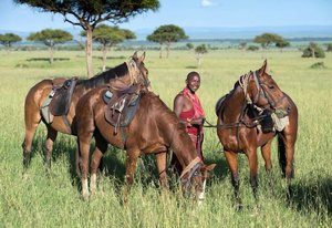 Laikipia Safari-Ritt