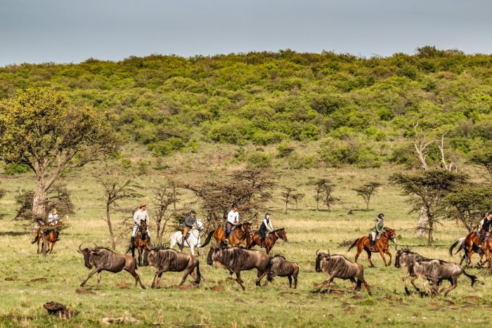Laikipia Reitsafarai am Mount Kenia