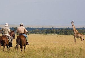 Laikipia Safari-Ritt