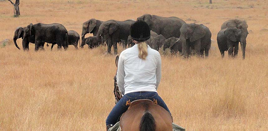 Laikipia Safari-Ritt