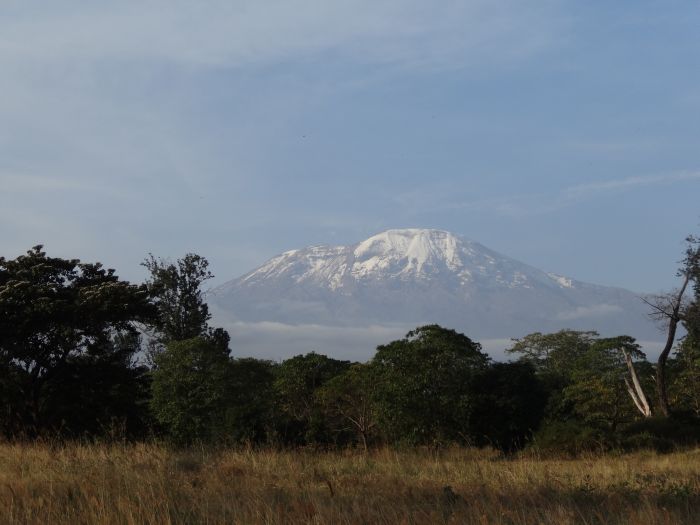 Reiterhof am Kilimanjaro
