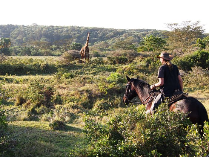 Meru-Kilimanjaro Grosswildsafari