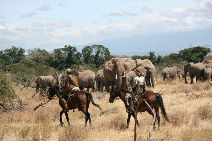 Meru-Kilimanjaro Grosswildsafari