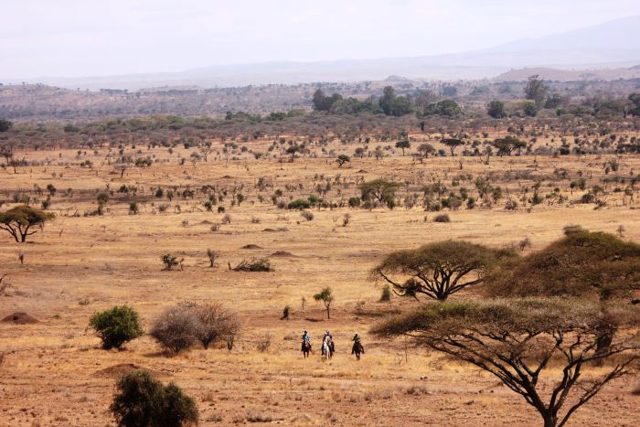 Meru-Kilimanjaro Grosswildsafari