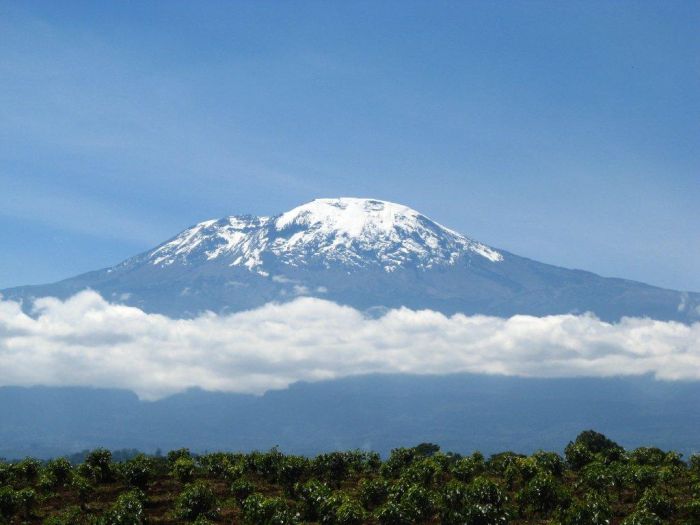 Meru-Kilimanjaro Grosswildsafari