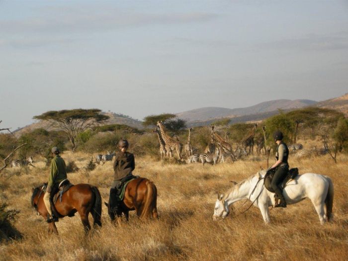 Meru-Kilimanjaro Grosswildsafari