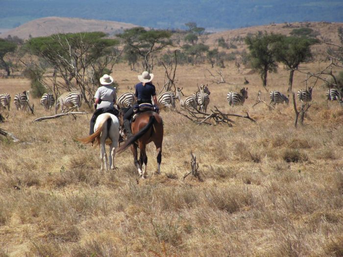 Süd - Amboseli Reitsafari