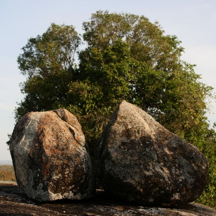 Komfortlodge beim Lake Mburo Nationalpark