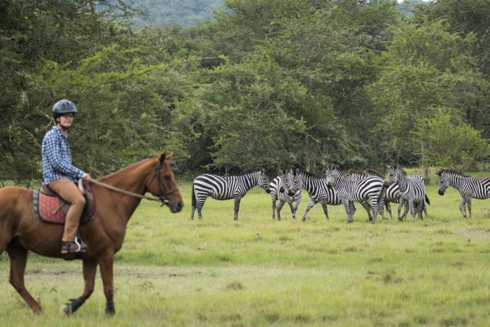 Komfortlodge beim Lake Mburo Nationalpark