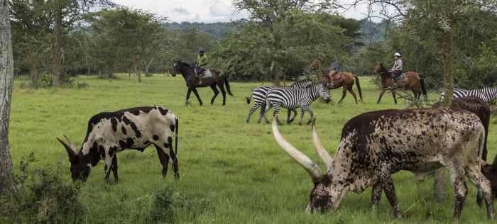 Komfortlodge beim Lake Mburo Nationalpark