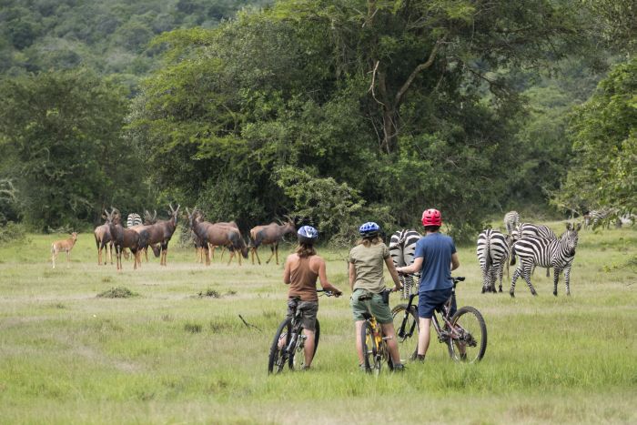 Komfortlodge beim Lake Mburo Nationalpark