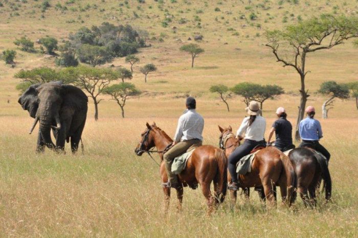 Masai Mara Reitsafari