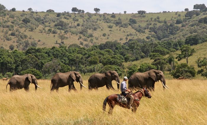 Masai Mara Reitsafari