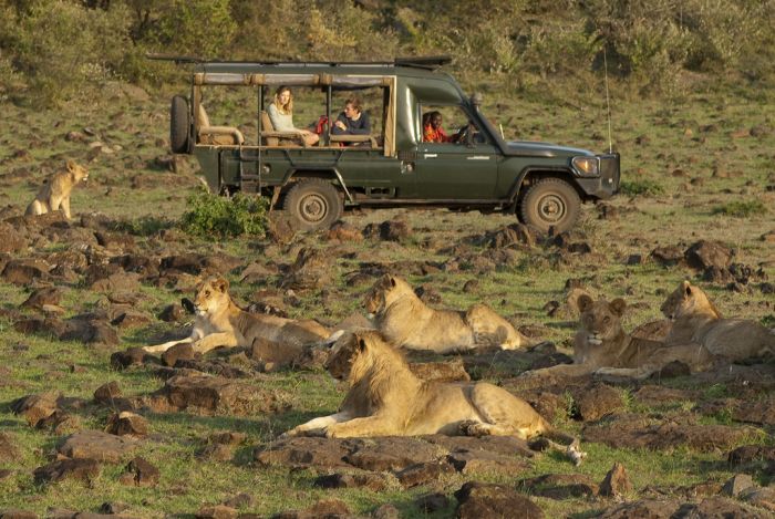 Masai Mara Reitsafari