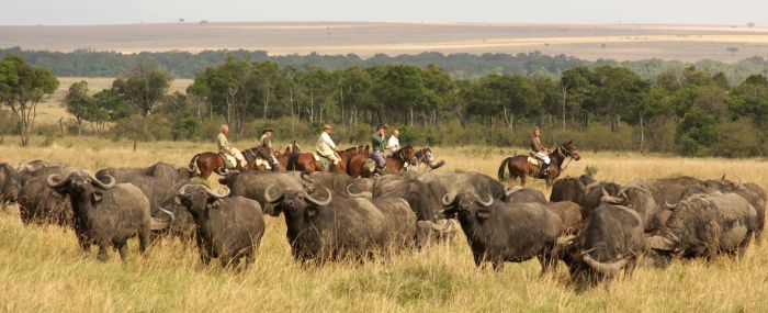 Masai Mara Reitsafari