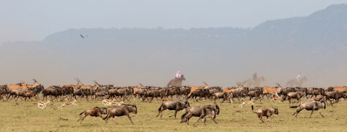 Masai Mara Reitsafari