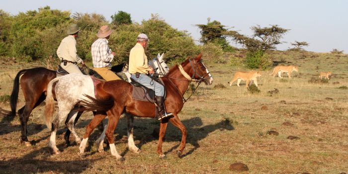 Masai Mara Reitsafari