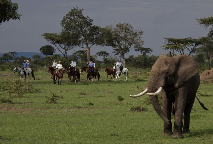 Masai Mara Reitsafari