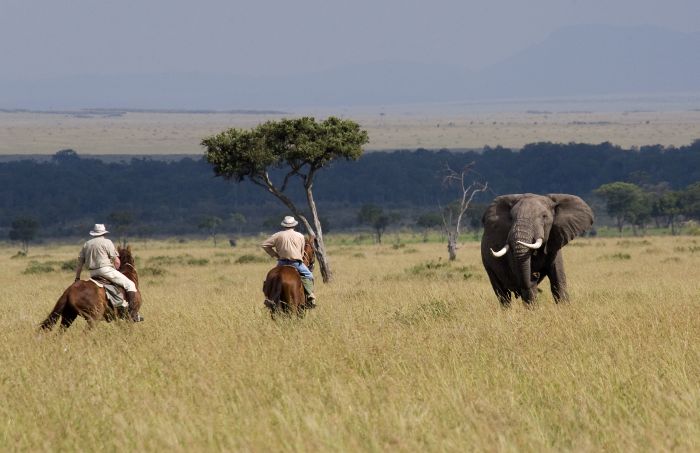 Masai Mara Reitsafari