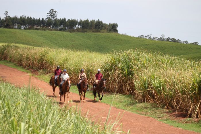 Reit- und Sporterlebnis Uganda