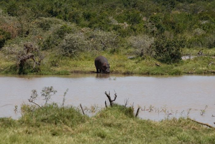 Laikipia Sosian Safari Lodge