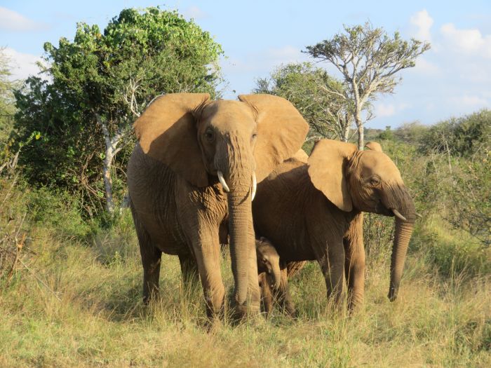 Laikipia Sosian Safari Lodge