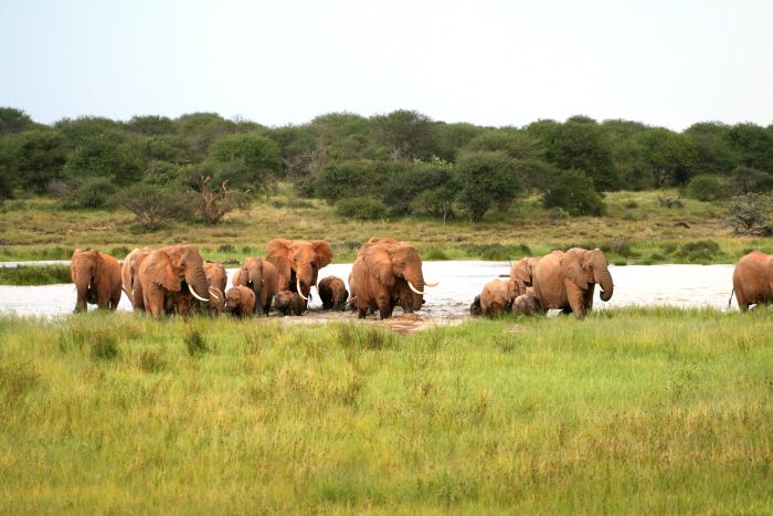 Laikipia Sosian Safari Lodge