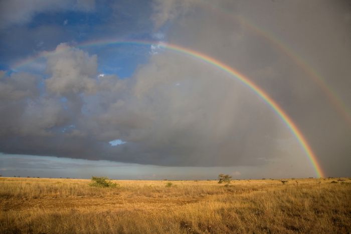 Laikipia Sosian Safari Lodge