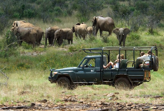 Laikipia Sosian Safari Lodge